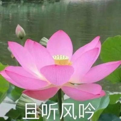 内塔尼亚胡：以色列正在黎巴嫩建立更大“缓冲区”